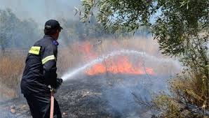 Συλλήψεις για τις φωτιές σε Άλσος Βεϊκου και Ηλεία