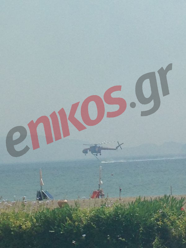 Νέα ΦΩΤΟ από την Αργολίδα