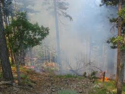 Φωτιά στο Μεσολόγγι