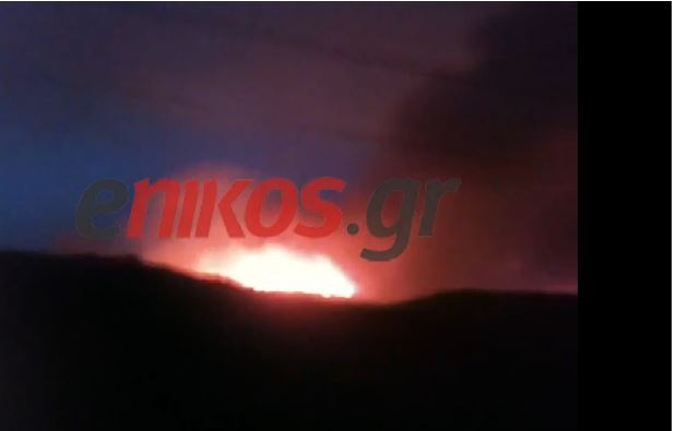 ΒΙΝΤΕΟ-Σε εξέλιξη η φωτιά στη Βοιωτία