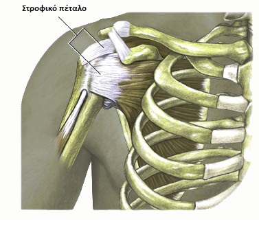 Ρήξεις στροφικού πετάλου: Όσα πρέπει να γνωρίζετε!