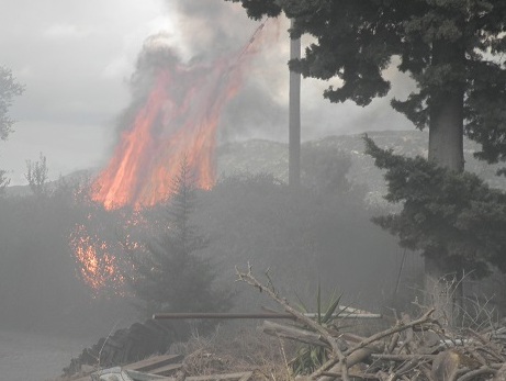 ΒΙΝΤΕΟ-Φωτιά στο Αγρίνιο