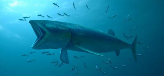 Ανακαλύφθηκε το μεγαλύτερο ψάρι