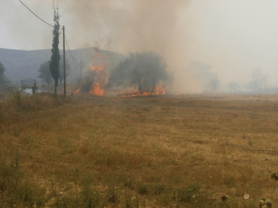 Φωτιά κοντά σε εργοστάσιο ξυλείας