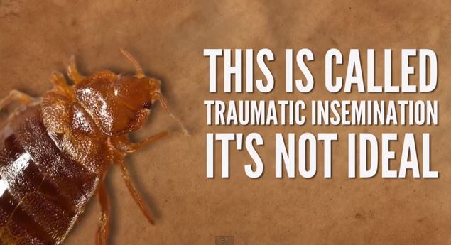 ΒΙΝΤΕΟ-Τι δεν ξέρουμε για τα ζώα