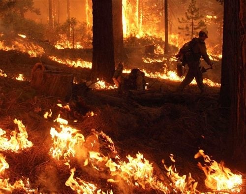 Κυνηγός “έκαψε” τελικά την Καλιφόρνια
