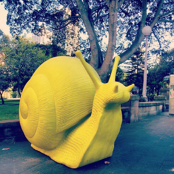 Το Σίδνεϊ γέμισε… σαλιγκάρια