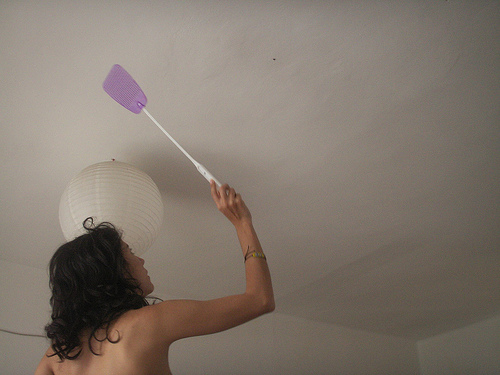 Γιατί “μας ξεφεύγουν” οι μύγες;