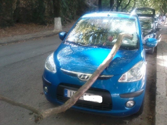 ΦΩΤΟ-Δέντρο έπεσε σε ΙΧ