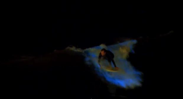 BINTEO: Σέρφινγκ σε φωτεινά κύματα