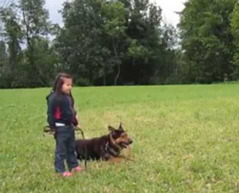 ΒΙΝΤΕΟ-Ένας σκύλος-φύλακας για το κοριτσάκι