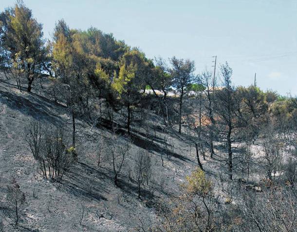Τα αυθαίρετα που κατεδαφίζονται