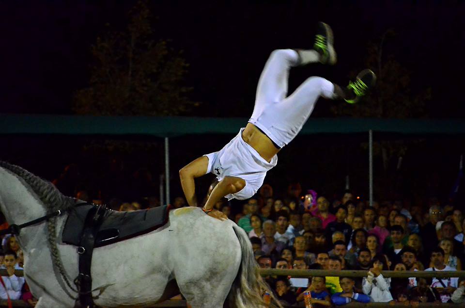 ΦΩΤΟ-Σόου με άλογα