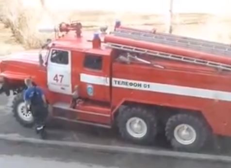 ΒΙΝΤΕΟ-Πως θα κατέβει η γάτα;