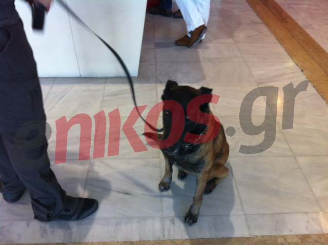 ΦΩΤΟ-Σκύλος της «Κ9» στο χώρο της συνέντευξης