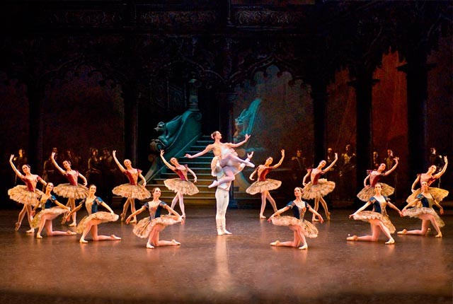 Η διατροφή των Μπολσόι