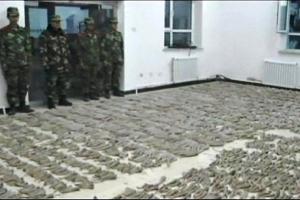 ΒΙΝΤΕΟ-Κέρατα αξίας 17 εκατ. ευρώ