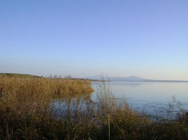 Ανασύρθηκε νεκρός 71χρονος