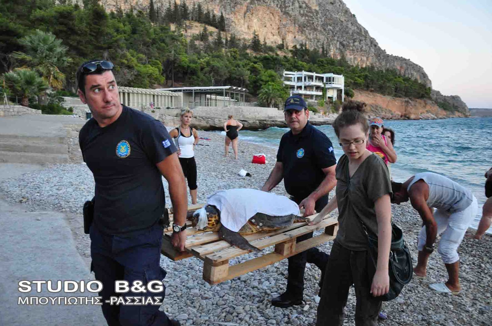 ΒΙΝΤΕΟ-Διάσωση θαλάσσιας χελώνας