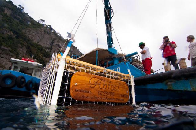 perierga.gr - "Η άβυσσος του κρασιού": Μια υποβρύχια... κάβα!