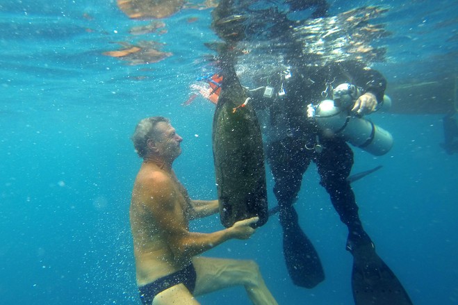 perierga.gr - "Η άβυσσος του κρασιού": Μια υποβρύχια... κάβα!