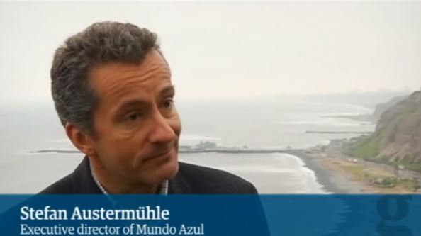 BINTEO-Δολώνουν δελφίνια για καρχαρίες