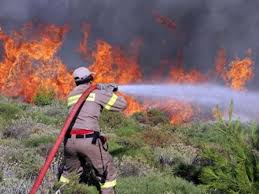 Μειώθηκαν στο μισό οι πυρκαγιές