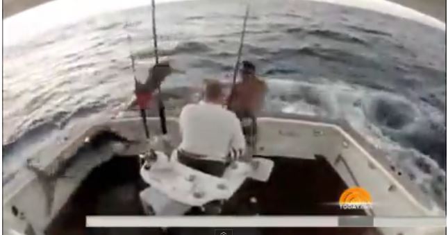 ΒΙΝΤΕΟ-Ο ξιφίας “εκδικήθηκε” τον ψαρά
