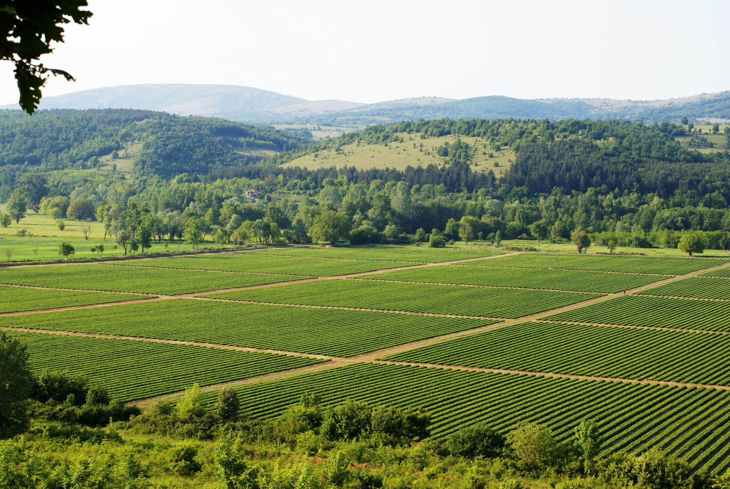 Οι Έλληνες δεν πάνε στα χωράφια