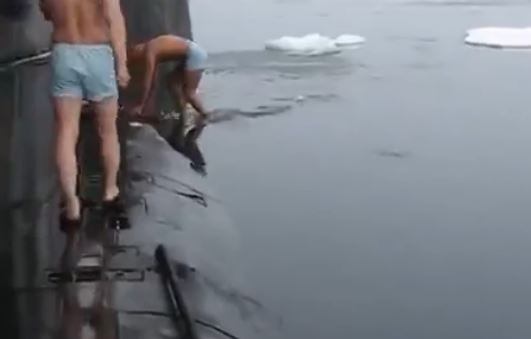 ΒΙΝΤΕΟ-Η βουτιά των τολμηρών