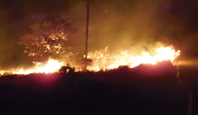 ΒΙΝΤΕΟ-Φωτιά τώρα στην Κω