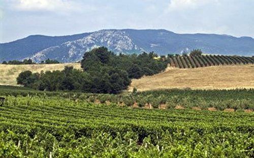 Αντιδράσεις για τη φορολόγηση των αγροτεμαχίων