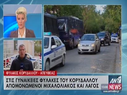 ΒΙΝΤΕΟ-Το πρώτο βράδυ των Μιχαλολιάκου, Λαγού στον Κορυδαλλό