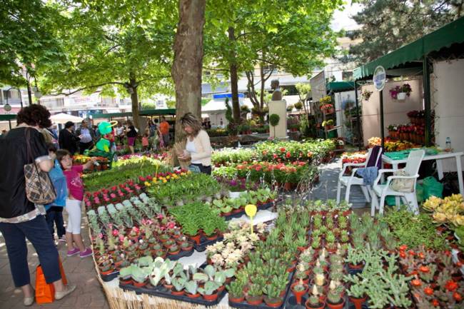 Ανθοκομική Έκθεση στην Αθήνα