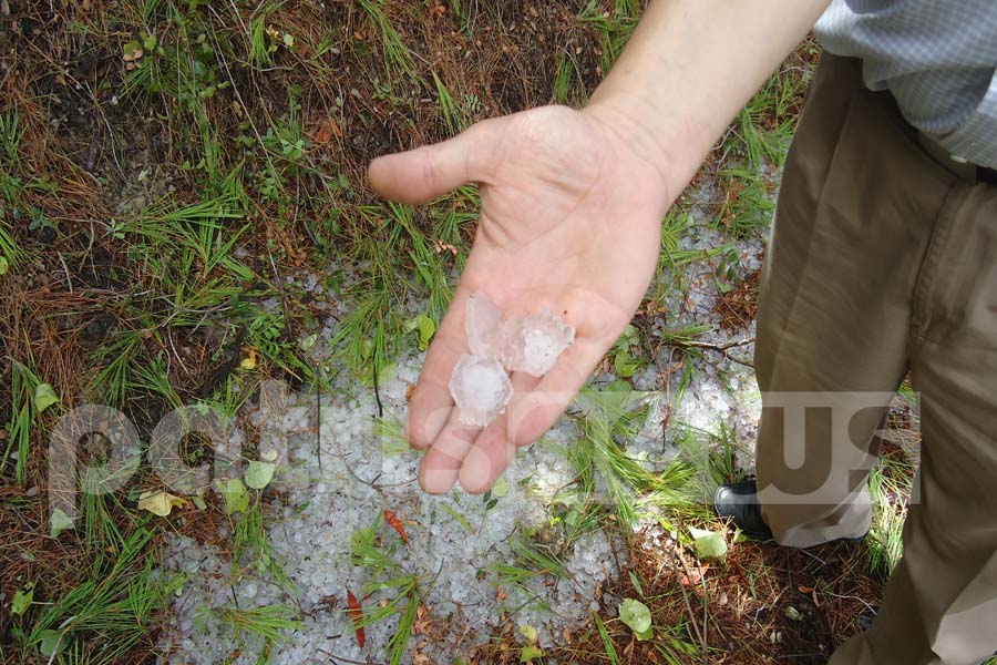 ΦΩΤΟ-Ζημιές από τη χαλαζόπτωση