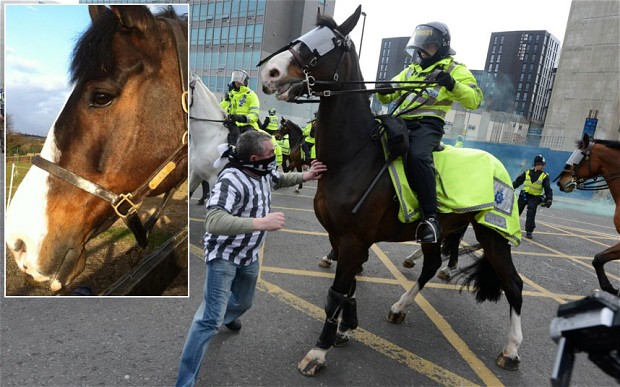 Καταδικάστηκε γιατί γρονθοκόπησε άλογο