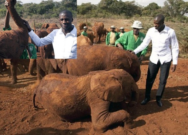 ΦΩΤΟ-Ο Τουρέ και τα ελεφαντάκια