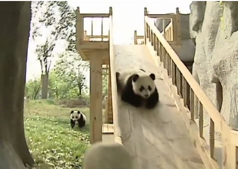 ΒΙΝΤΕΟ-Τσουλήθρα για… πάντα