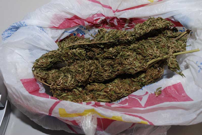 Συνελήφθη 75χρονος για ναρκωτικά