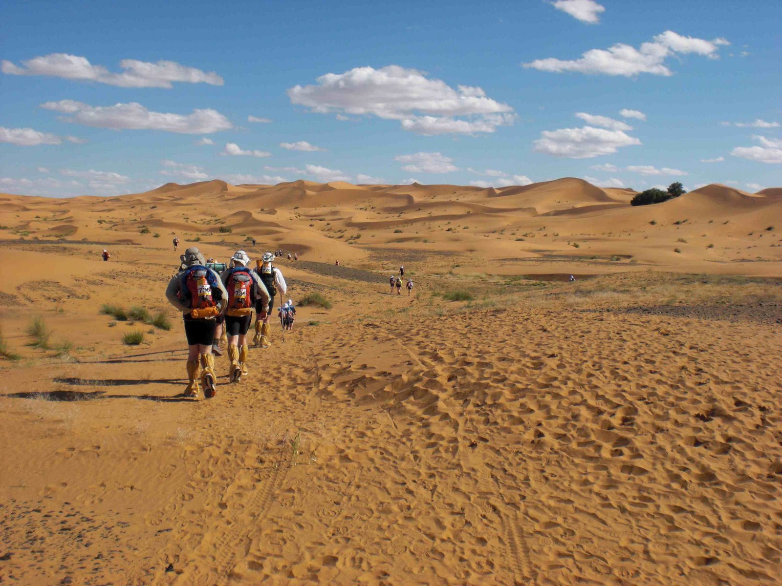 Ο σκληρός νόμος της Σαχάρα