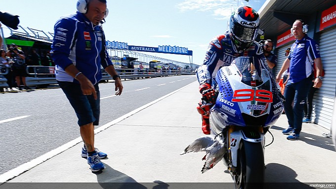 ΒΙΝΤΕΟ-Ο Λορένθο και ο άτυχος… γλάρος