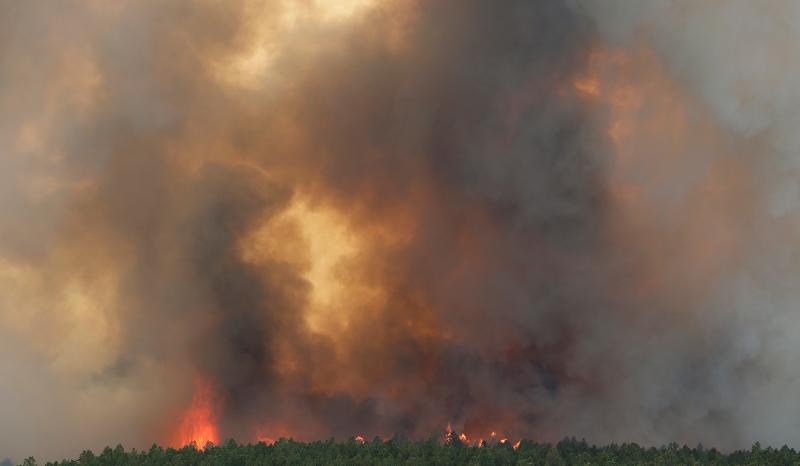 Σε εξέλιξη πυρκαγιά στη Χαλκιδική