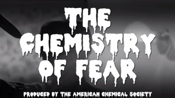 ΒΙΝΤΕΟ-Γιατί μας αρέσει να φοβόμαστε;