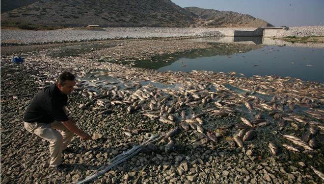 Νεκρά ψάρια στη λίμνη Κάρλα