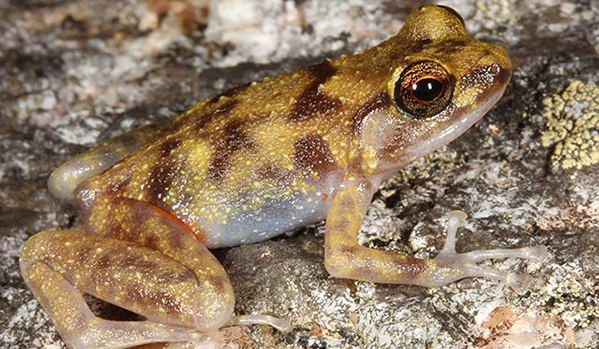 Ο «χαμένος» κόσμος της Αυστραλίας