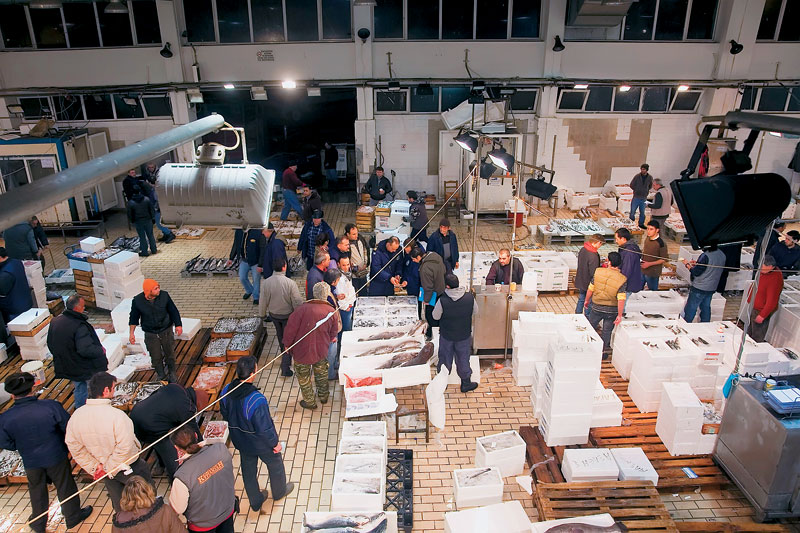 ΒΙΝΤΕΟ-Στο στόχαστρο της αντιτρομοκρατικής η ιχθυόσκαλα