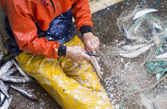 Ο πλουσιότερος ψαράς του κόσμου