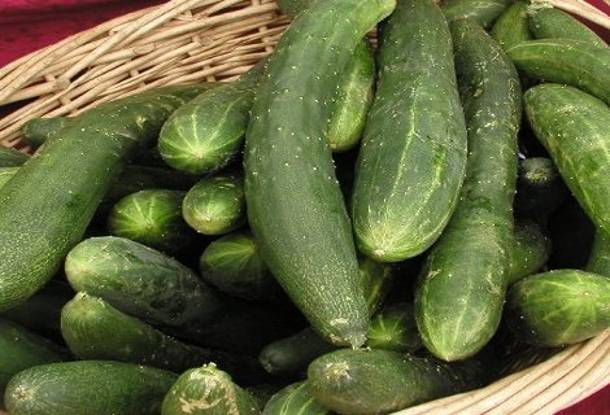 Φυτοφάρμακα σε αλβανικά λαχανικά