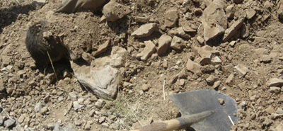 Αρχαίο νεκροταφείο κάτω από εργοτάξιο