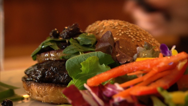 Απειλές λόγω… μπέργκερ φώκιας